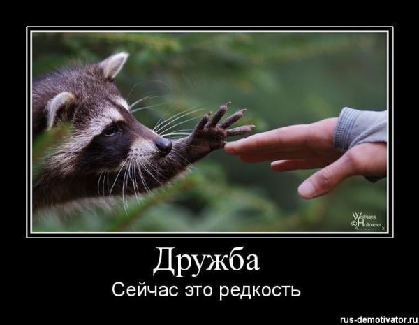 Демотиваторы про дружбу