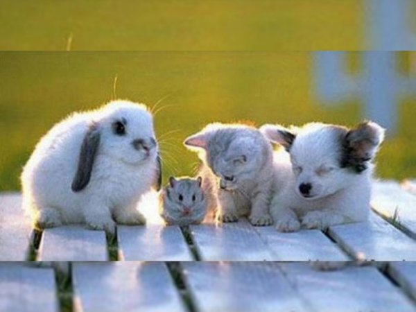 Мотиватор о дружбе