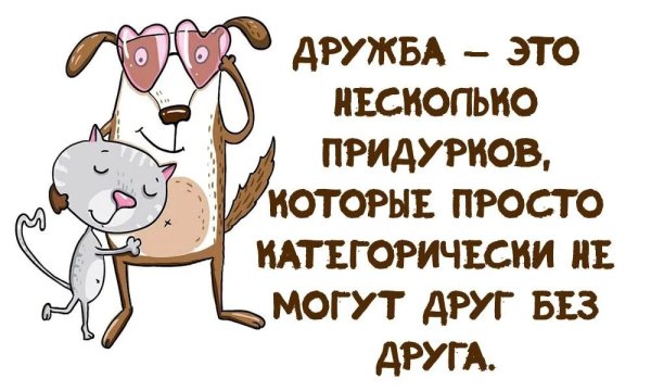 Смешные цитаты про дружбу