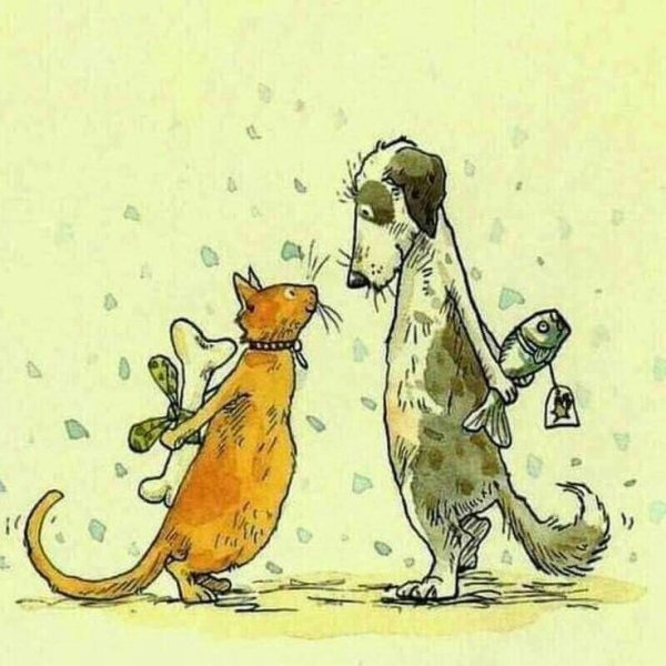 Вторник картинки прикольные