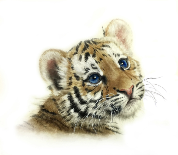 Нарисовать тигренка