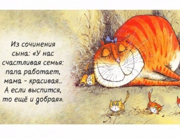 Позитивные афоризмы в картинках