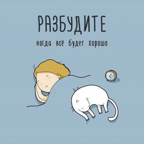 Прикольные фразы про сон