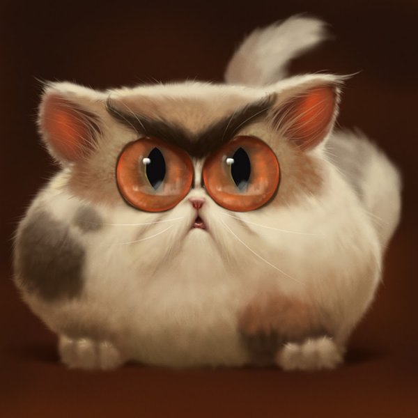 Котик с большими глазами