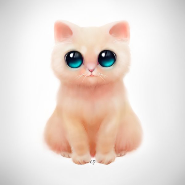 Милые котики с большими глазами