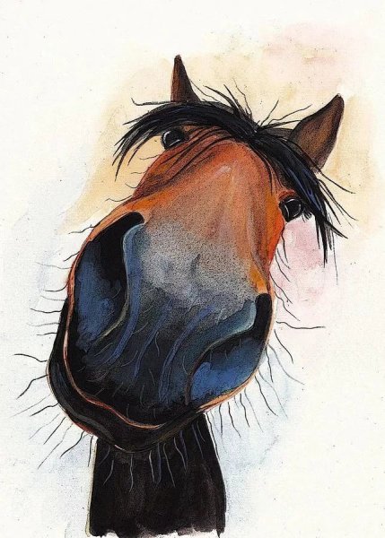 Лошадь рисунок