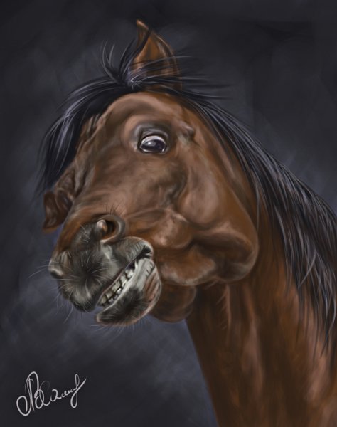 Морда лошади страшная