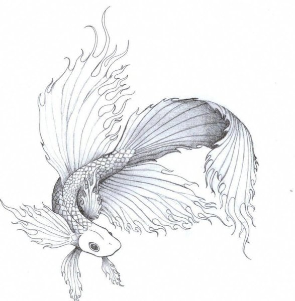 Тату Золотая рыбка эскизы