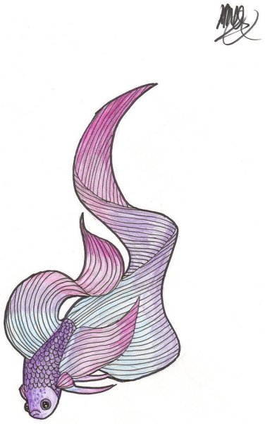 Рыбка эскиз Минимализм