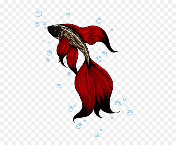 Хвост рыбы рисунок