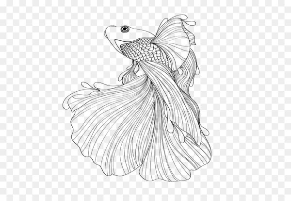 Рыбка петушок раскраска