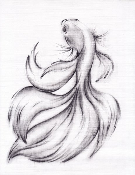 Тату рыбы эскизы