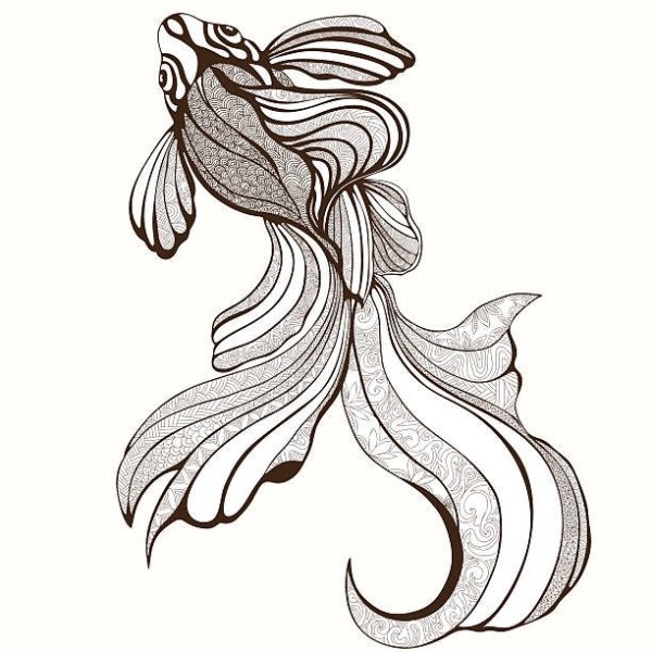 Золотая рыбка красивый эскиз