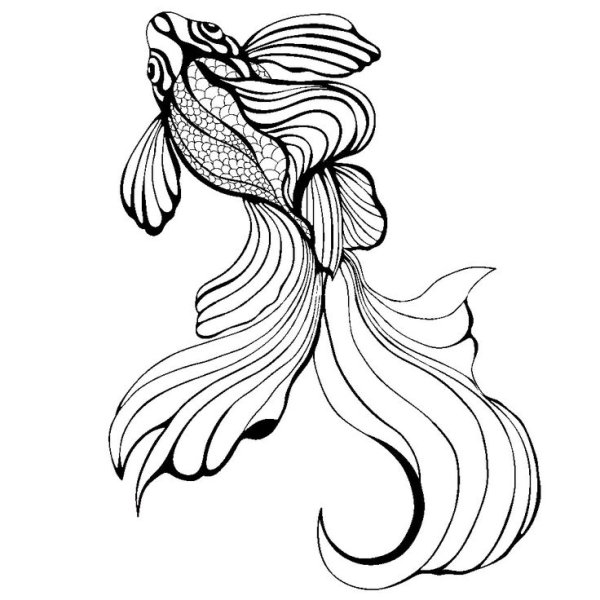 Золотая рыбка красивый эскиз