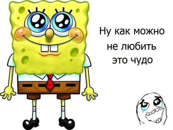 Губка Боб приколы