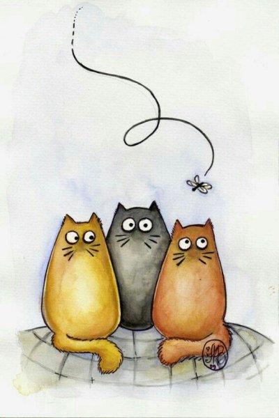 Мария Ван Брюгген