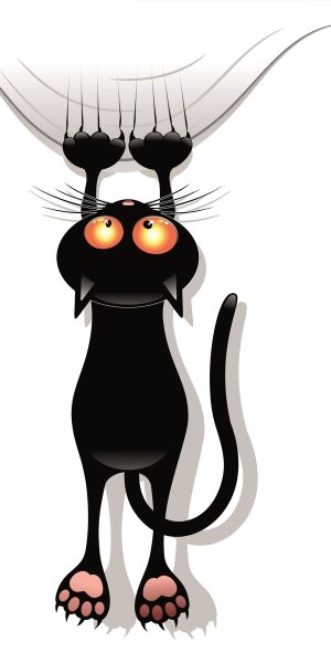 Прикольные мультяшные коты