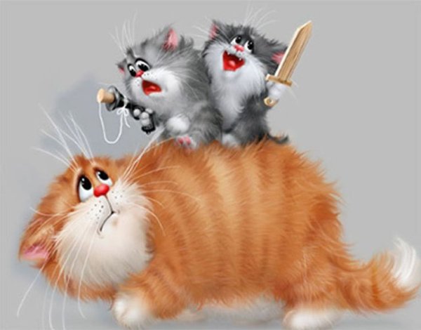 Смешные кошки рисунки