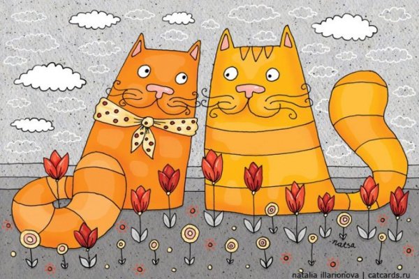 Рисунки котов Натальи Илларионовой