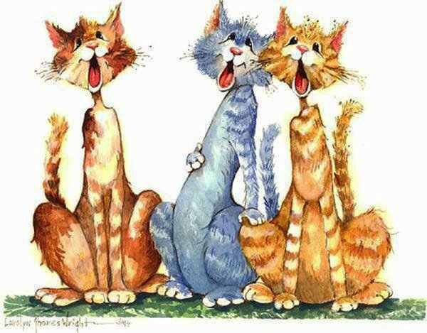 Веселая кошка рисунок