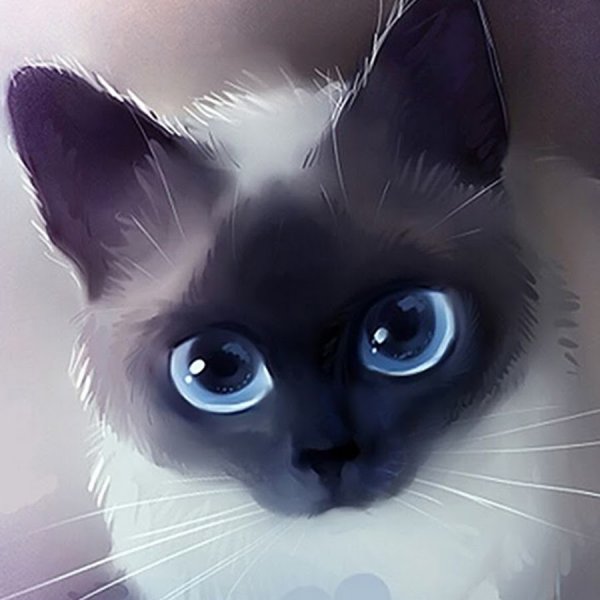 Картины Rihards Donskis кошки