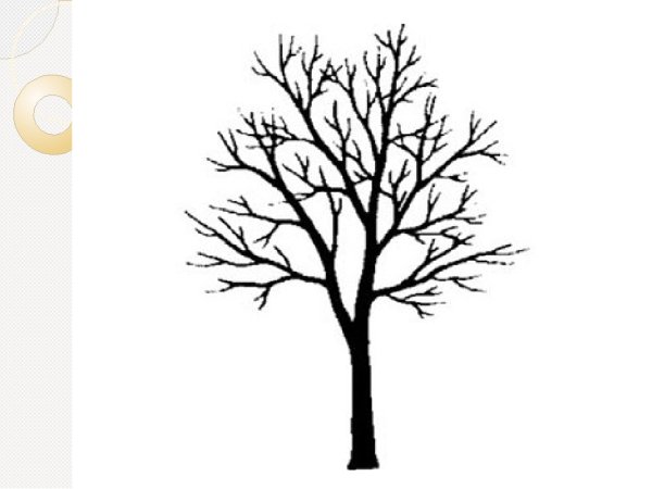 Силуэт дерева для детей