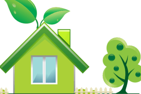 Наш Волшебный зеленый дом