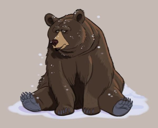 Моднеы Рисованные медведи