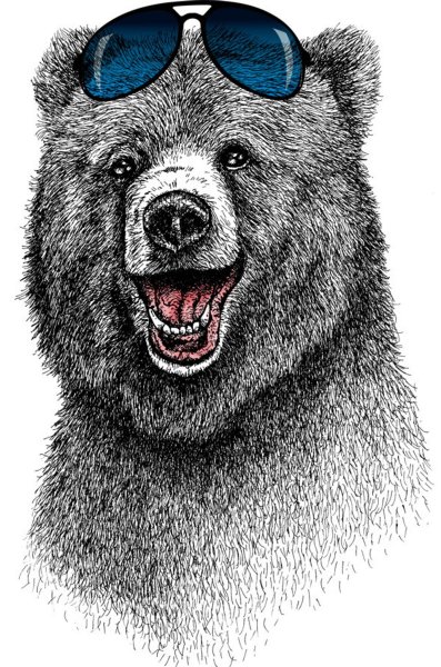Медведь в очках