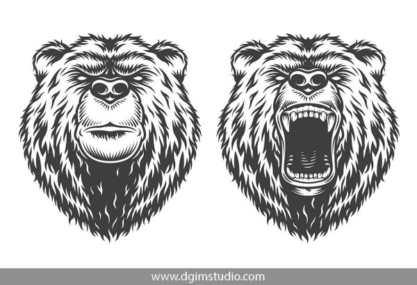 Медведь в капюшоне