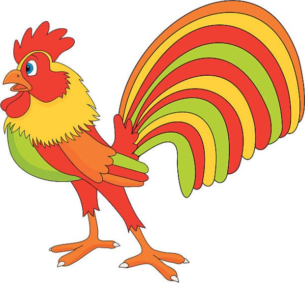 Петух без хвоста