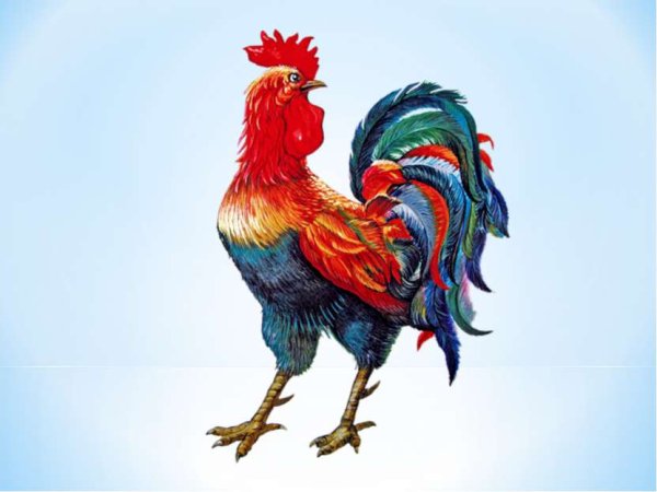 Огненный петух