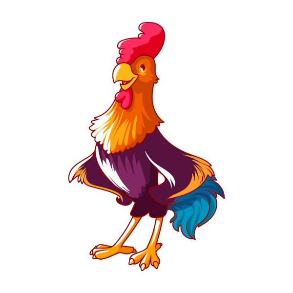 Цветной петух без хвоста