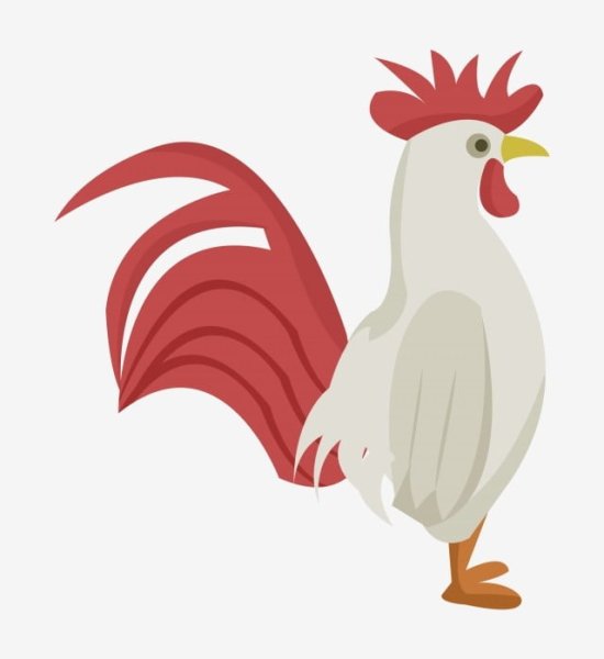 Гребешок петуха вектор