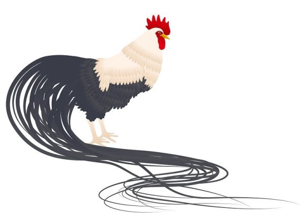 Хвост петуха у лошади