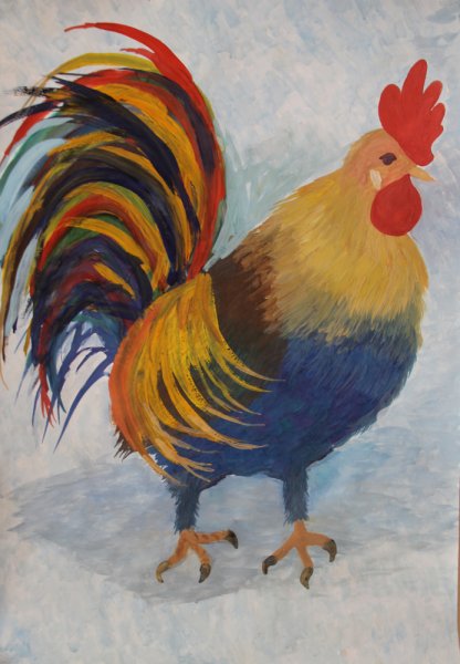 Хвост петуха