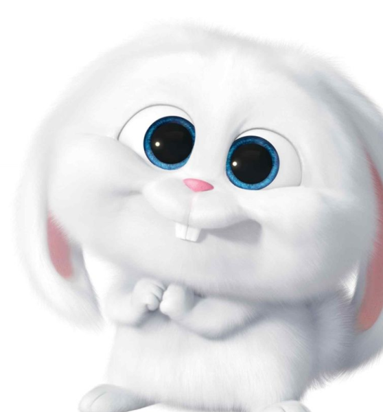 Тайная жизнь домашних животных снежок