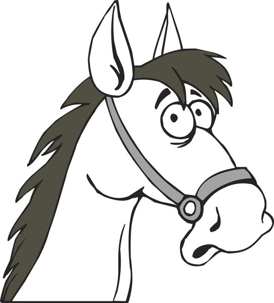 Морда коня удивленная