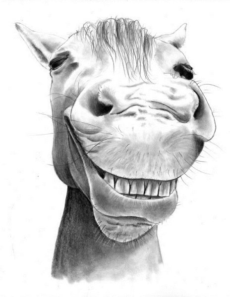 Смешные нарисованные кони