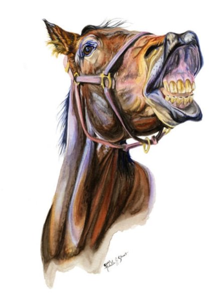 Шарж на лошади