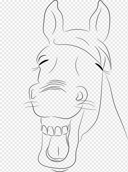 Морда лошади рисунок