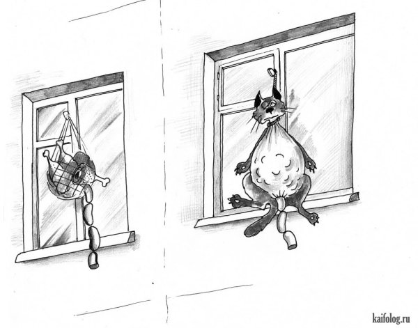 Смешные рисунки на окнах