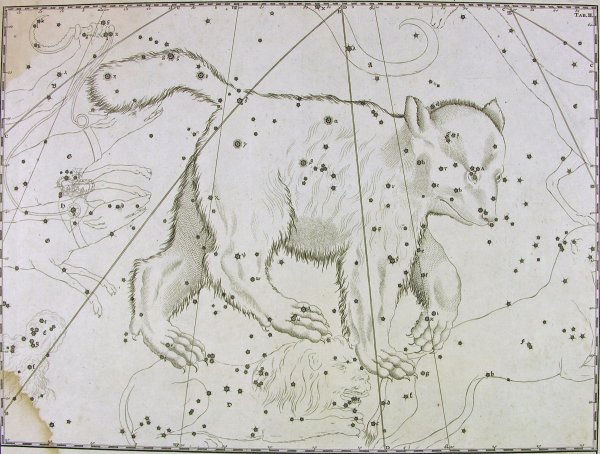 Северная звезда Созвездие большой медведицы