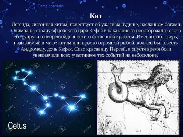 Каллисто Медведица Созвездие