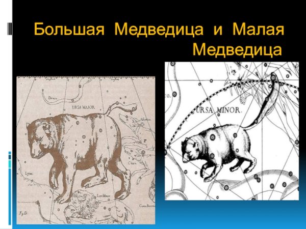 Легенда о созвездии для детей 2 класса о малой медведицы