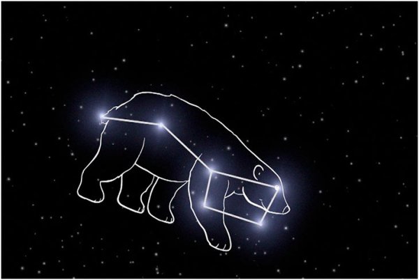 Созвездие большая Медведица и малая Медведица для детей