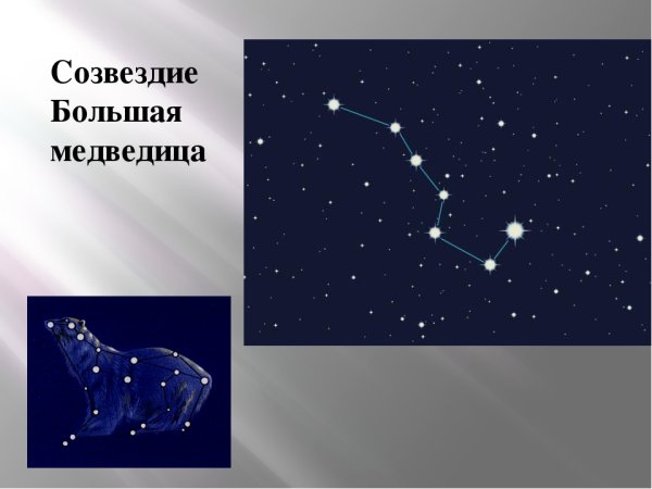 Большая Медведица Созвездие
