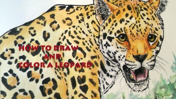 Леопард профиль вектор