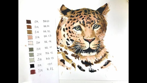 Леопард рисунок