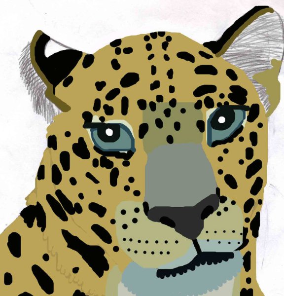 Раскраска леопард